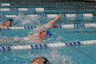 Swim vs Bentley  Wheaton College Swimming & Diving vs Bentley University. - Photo by Keith Nordstrom : Wheaton, Swimming & Diving